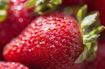 galerie-TEST - Galerie 1